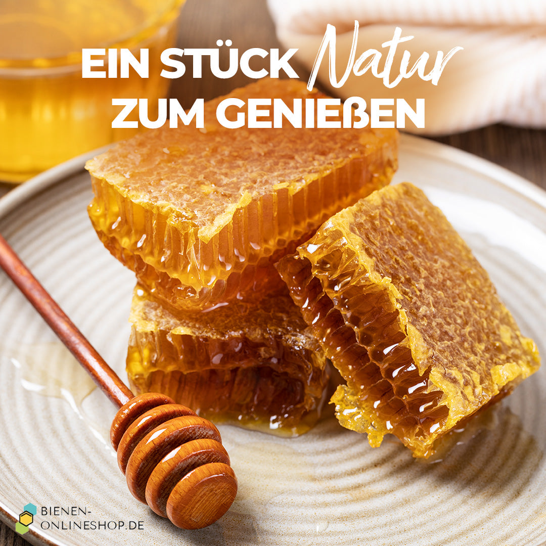 Bio Wabenhonig Frühlingshonig – frische Wabenstücke zum Genießen, direkt vom Imker