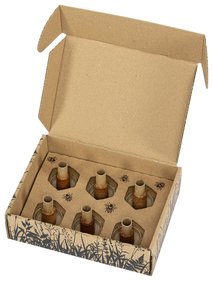 Propobliss Nachfüllpackung 6 Stück geöffnet 
