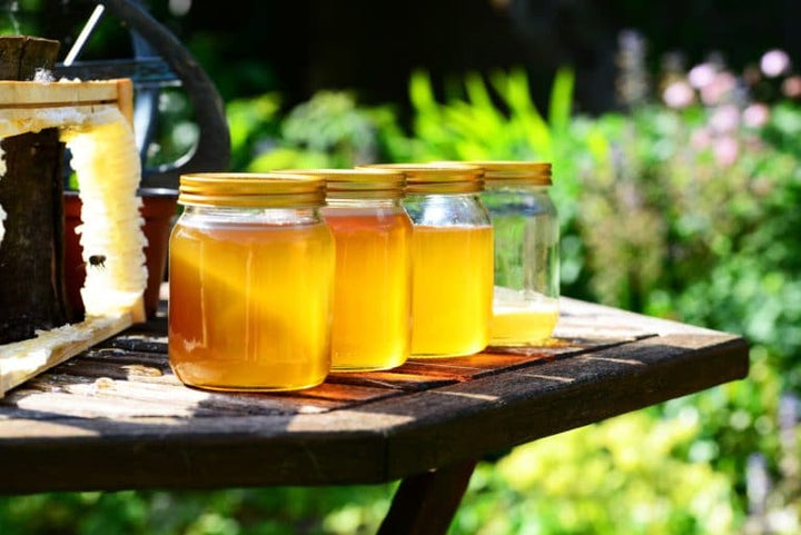 Parrainage d'abeilles bio « Épicurien »