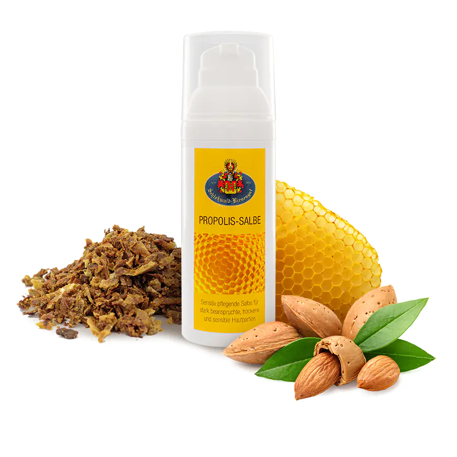 Propolis Salbe 50 ml – natürliche Wundsalbe mit Propolis von Schlosswald Bienengut
