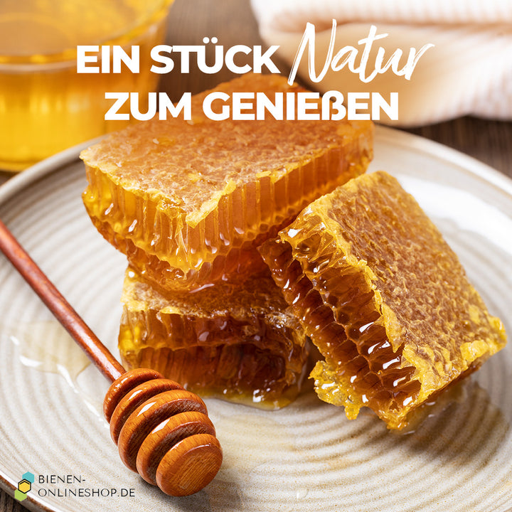 Bio Wabenhonig Sommerhonig – frische Wabenstücke zum Genießen, direkt vom Imker