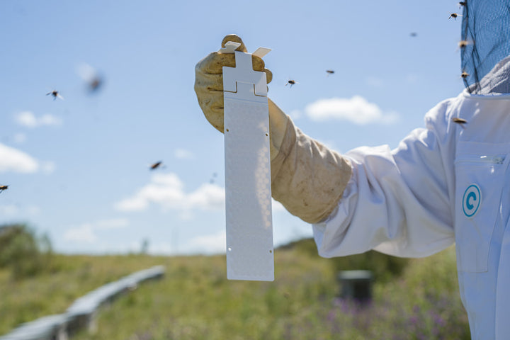 CALISTRIP® BIOX Positionierung im Layens-Beuten