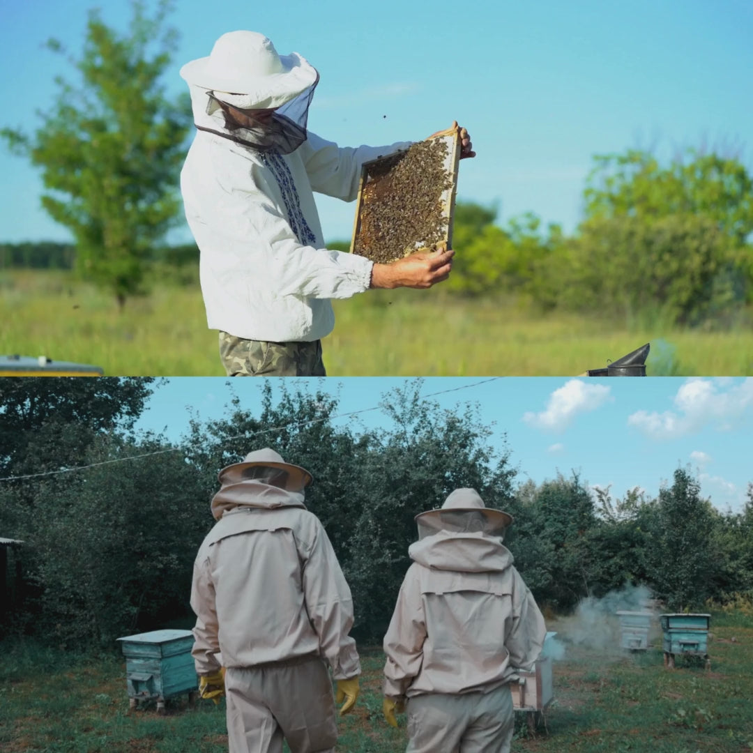 Parrainage d'abeilles bio « Épicurien »